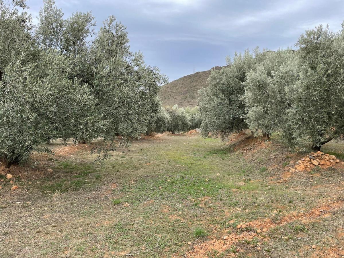 Casa Rural Los Caleros Villa Fondón Kültér fotó